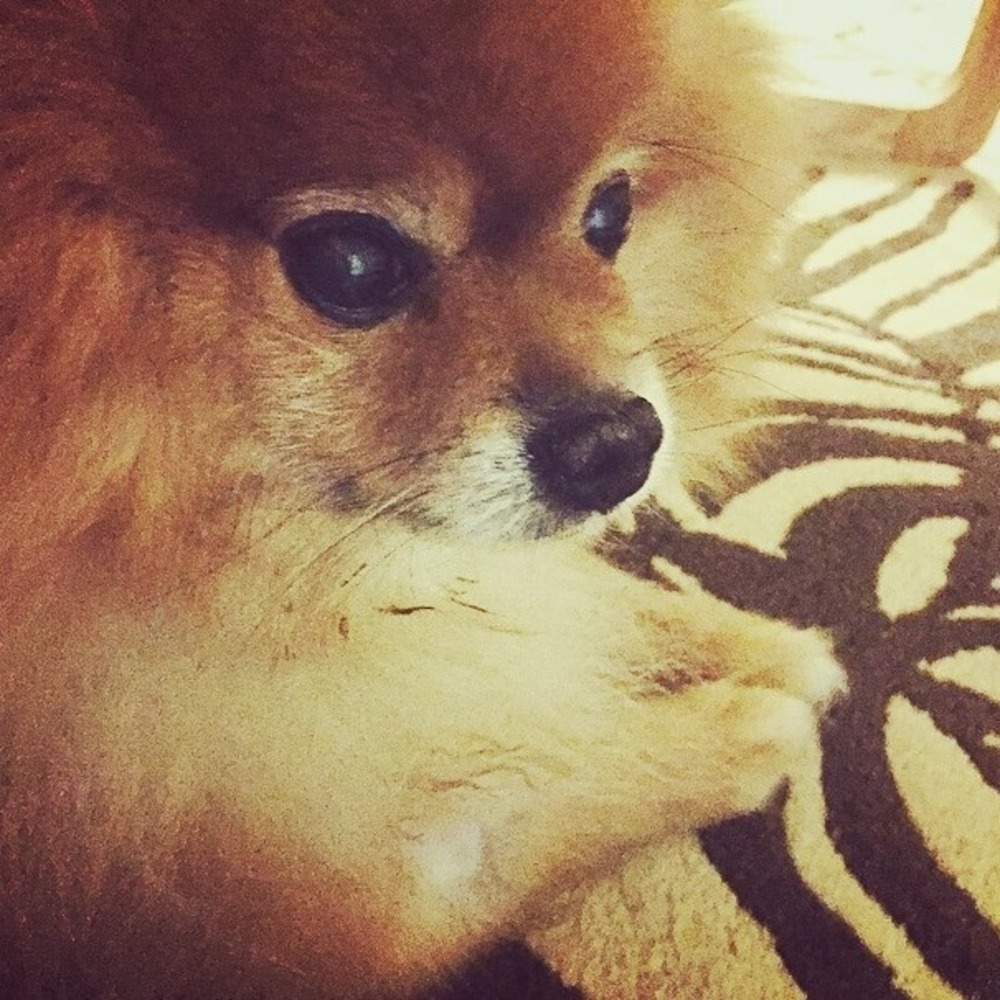 Meet your Posher, Ana patricia